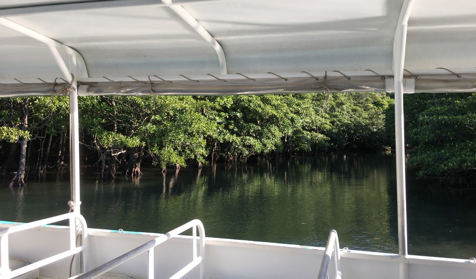 遊覧船から見る浦内川とマングローブ
