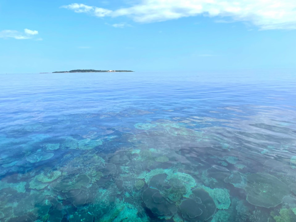 鳩間島とサンゴ礁