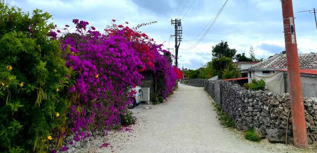 綺麗な花が溢れた竹富島の集落